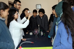 IMG_2251_result
