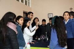 IMG_2253_result