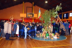 Image10