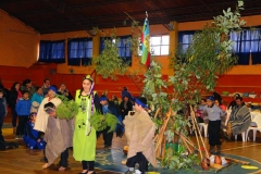 Image30