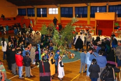 Image31