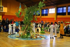 Image33