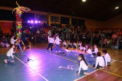 17. Gala Artística Ed. Parvularia