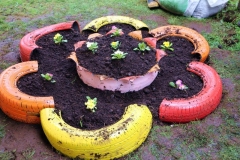 54. Actividades Mes de la Solidaridad - 2017_