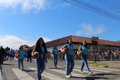 27. Desfile en Fiestas Patrias -2017