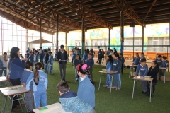 15. olimpiadas mat