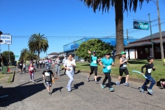 14. corrida 2017