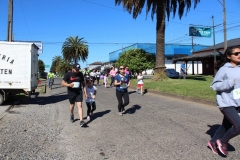 17. corrida 2017
