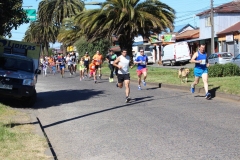 5. corrida 2017