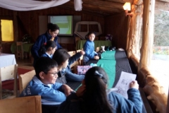 Image11