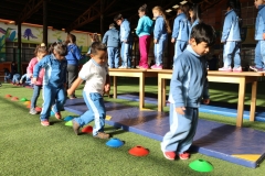 11. actividad fisica