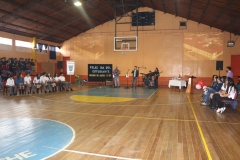 7. dia alumno