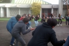 Image35