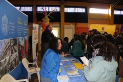 12. feria