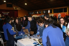 14. feria