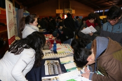 8. feria