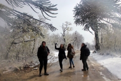 10. salida Nahuelbuta_