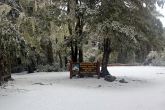15. salida Nahuelbuta_