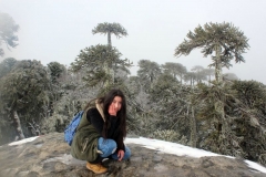 23. salida Nahuelbuta_
