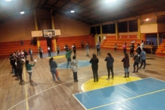 imagen0013