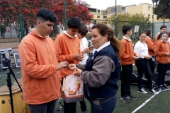 Image15