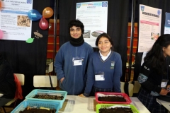Image95