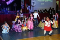Image35