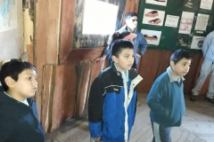 27. cuevas volcánicas