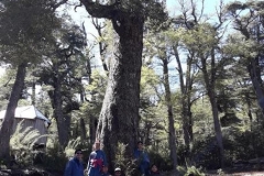 8. cuevas volcánicas