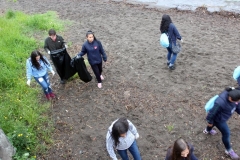 Image88