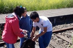 17. recuperación espacios