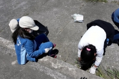 5. recuperación espacios