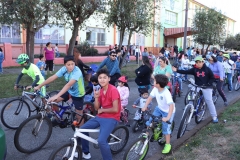 17. semana act fis