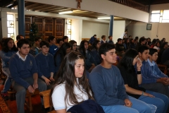 01 (11)